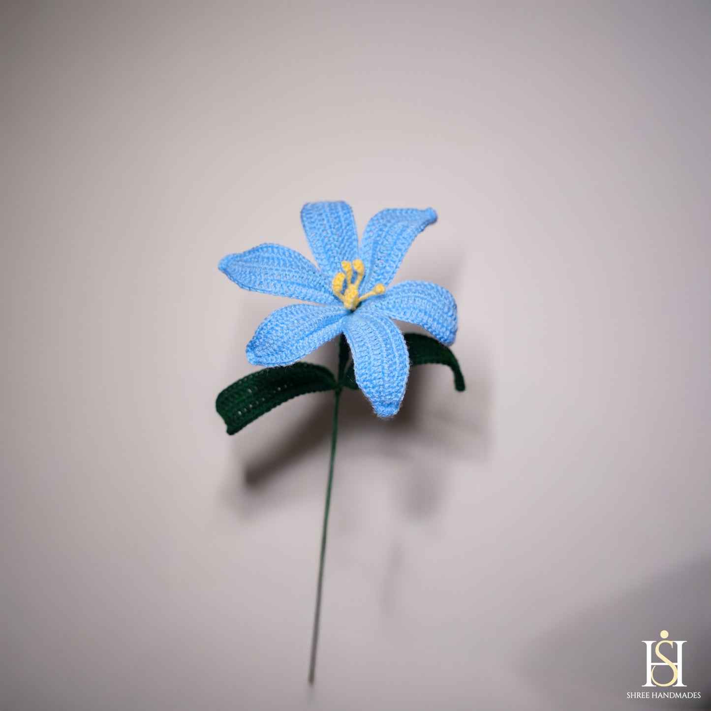 LILY BLUE