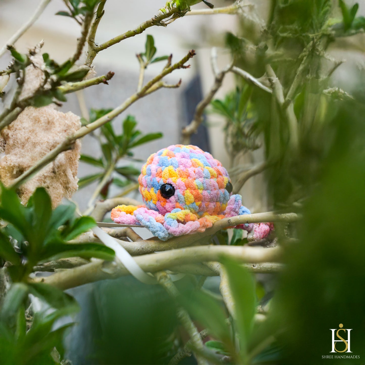 OCTOPUS RAINBOW LEGS