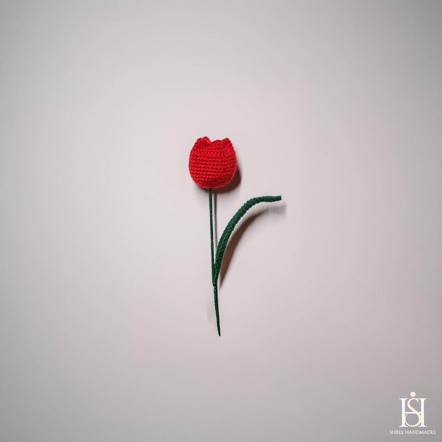 TULIP BUD