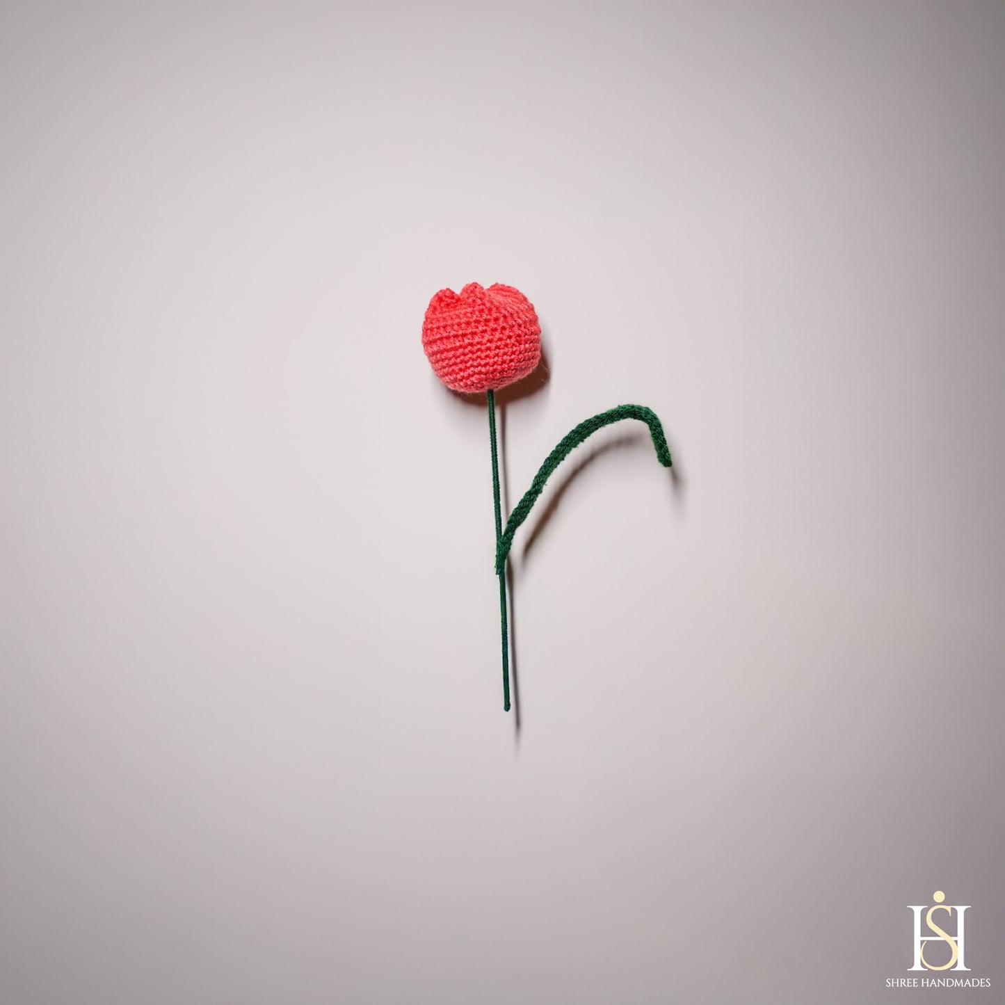 TULIP BUD