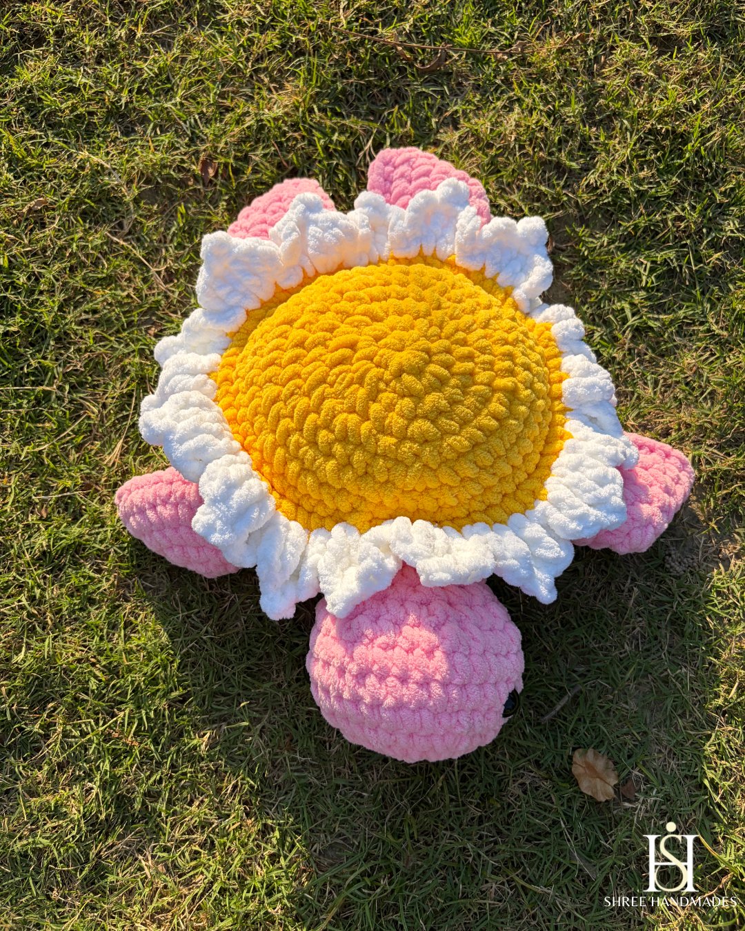 Daisy Turtle