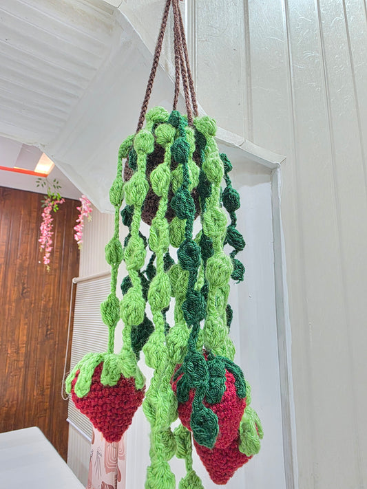 Strawberry hanging