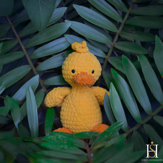 DUCK