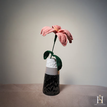 LILY PINK
