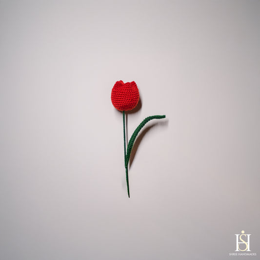 TULIP BUD