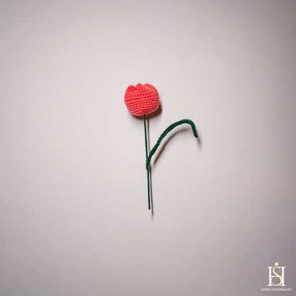 TULIP BUD