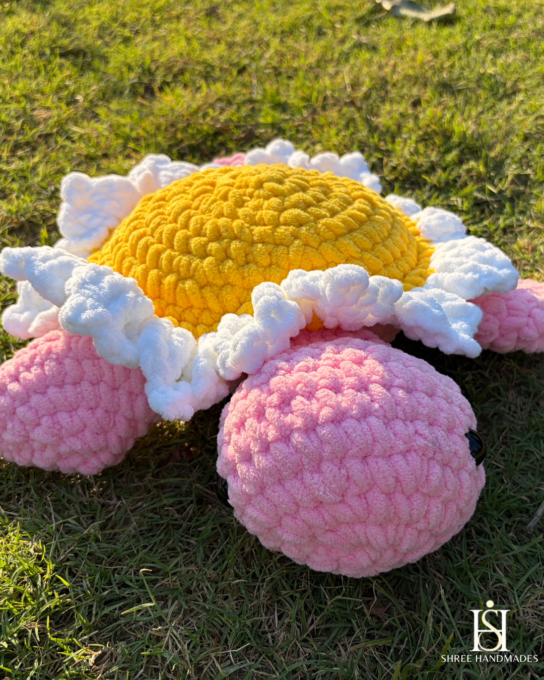 Daisy Turtle