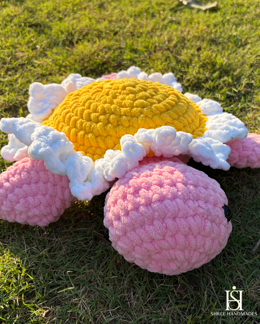 Daisy Turtle
