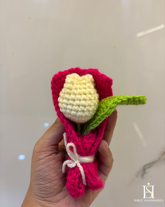 Single Tulip