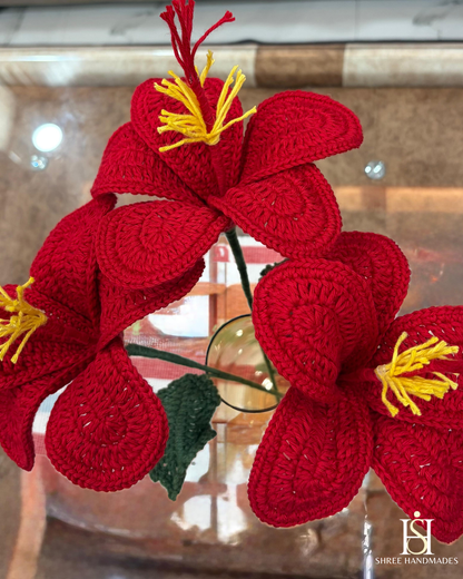 Hibiscus
