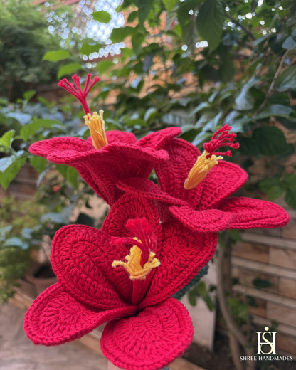 Hibiscus