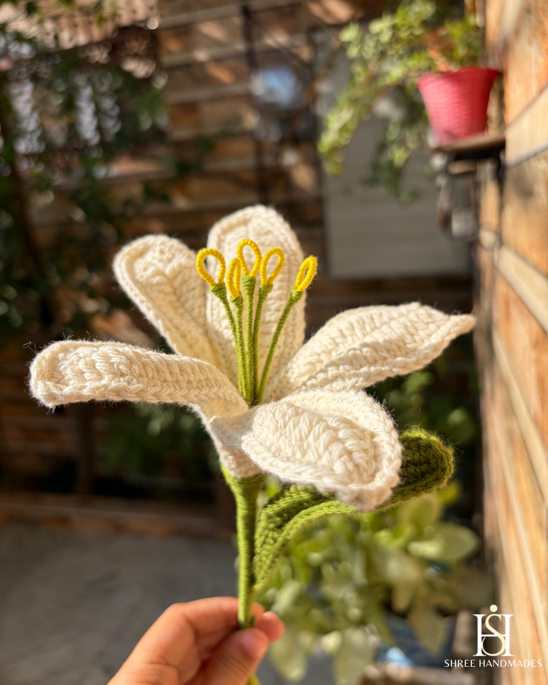 Lily