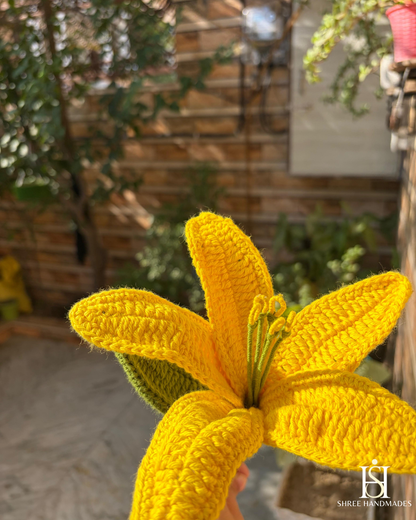 Lily