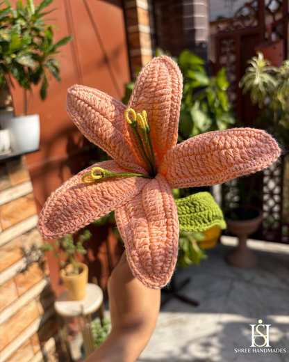 Lily