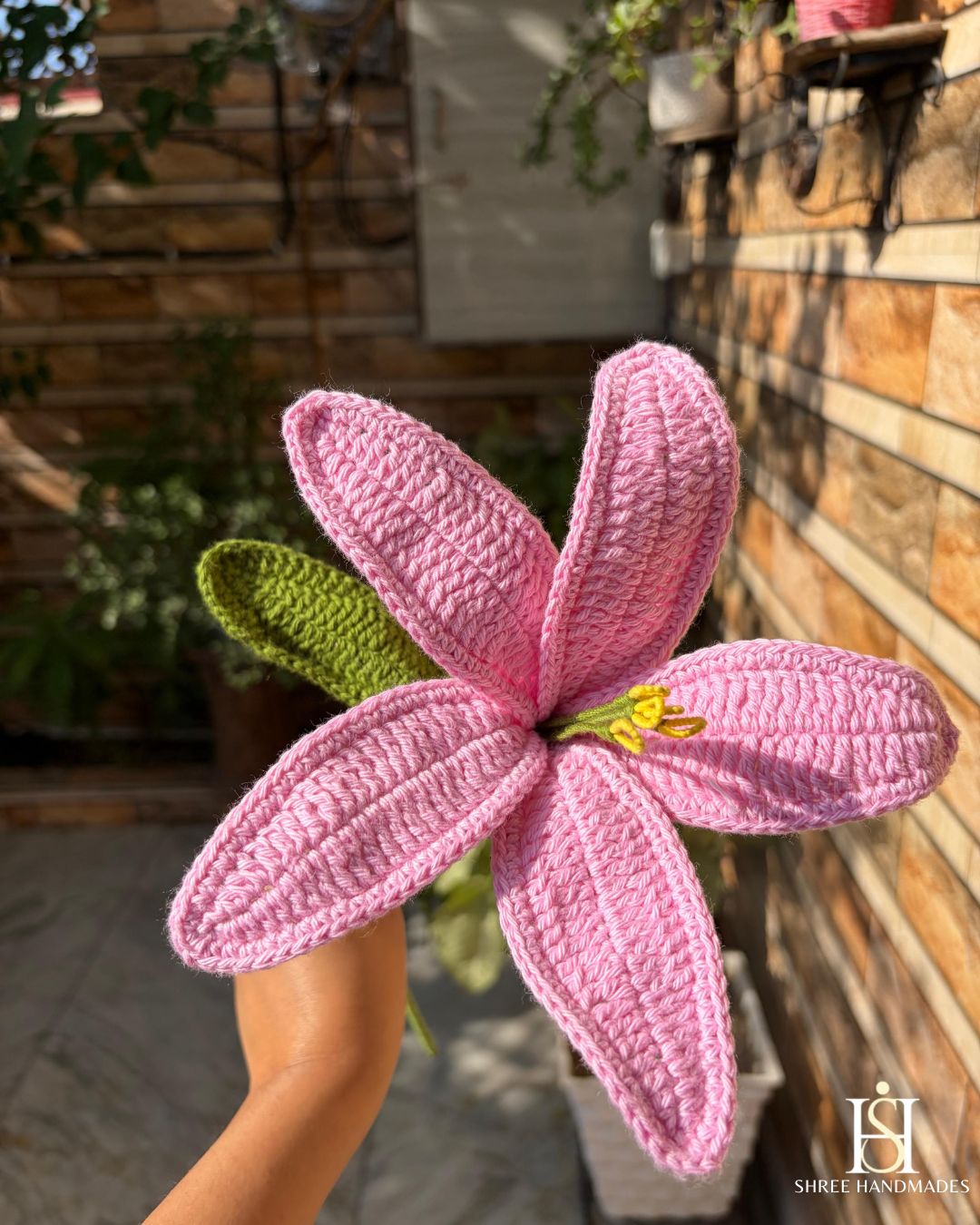 Lily