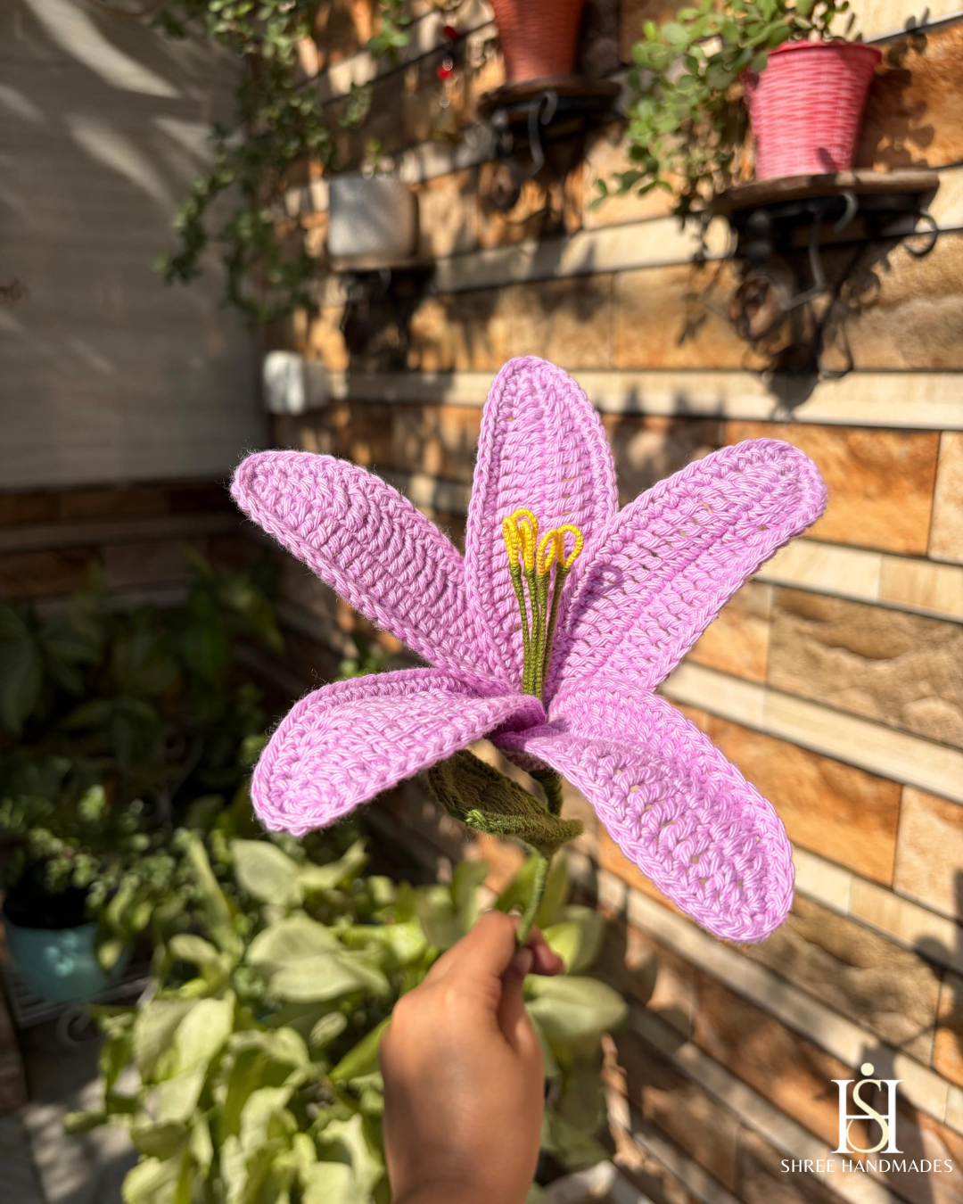 Lily
