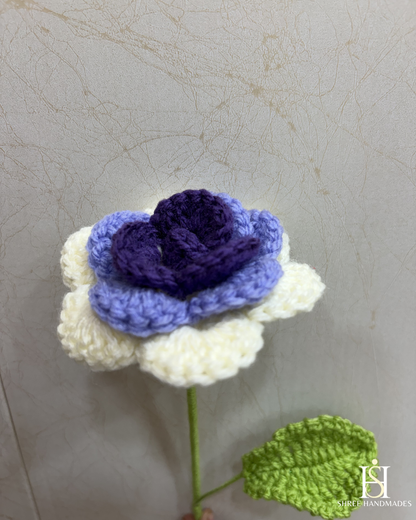 Multi Rose