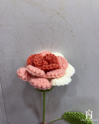 Multi Rose