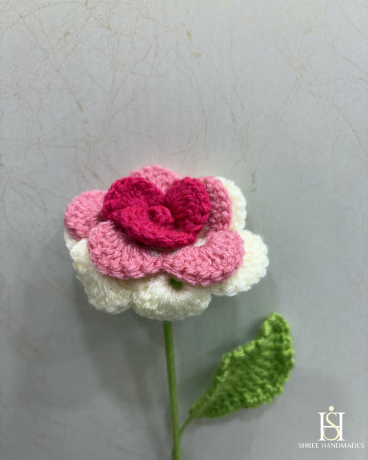 Multi Rose