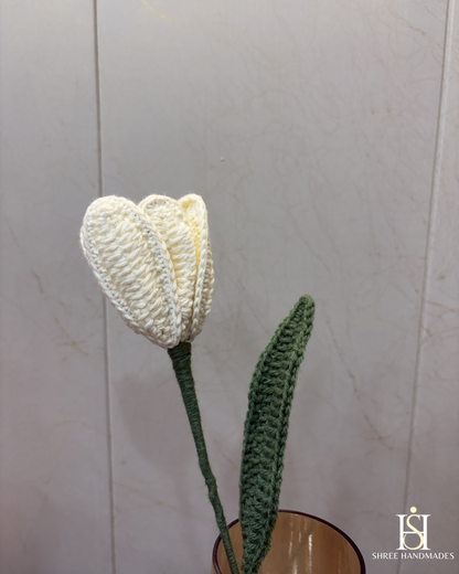 Open Tulip