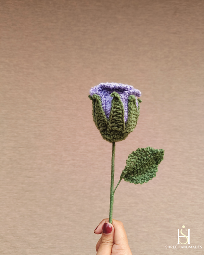 Wine Glass Rose