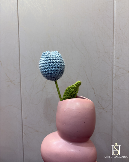 Tulip