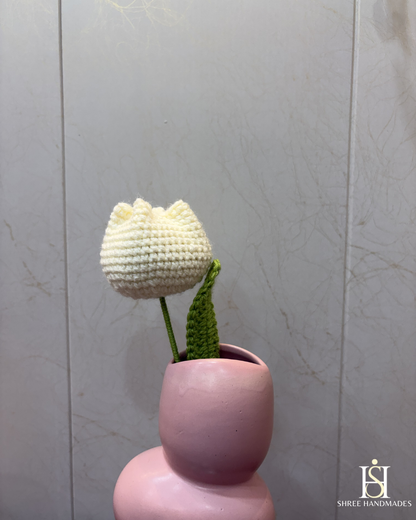 Tulip