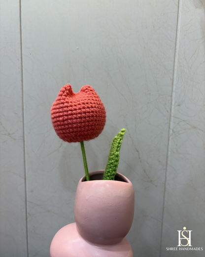 Tulip